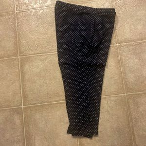 Philosophy pull on pants. Black and white polka dots. 2x. Excellent condition.
